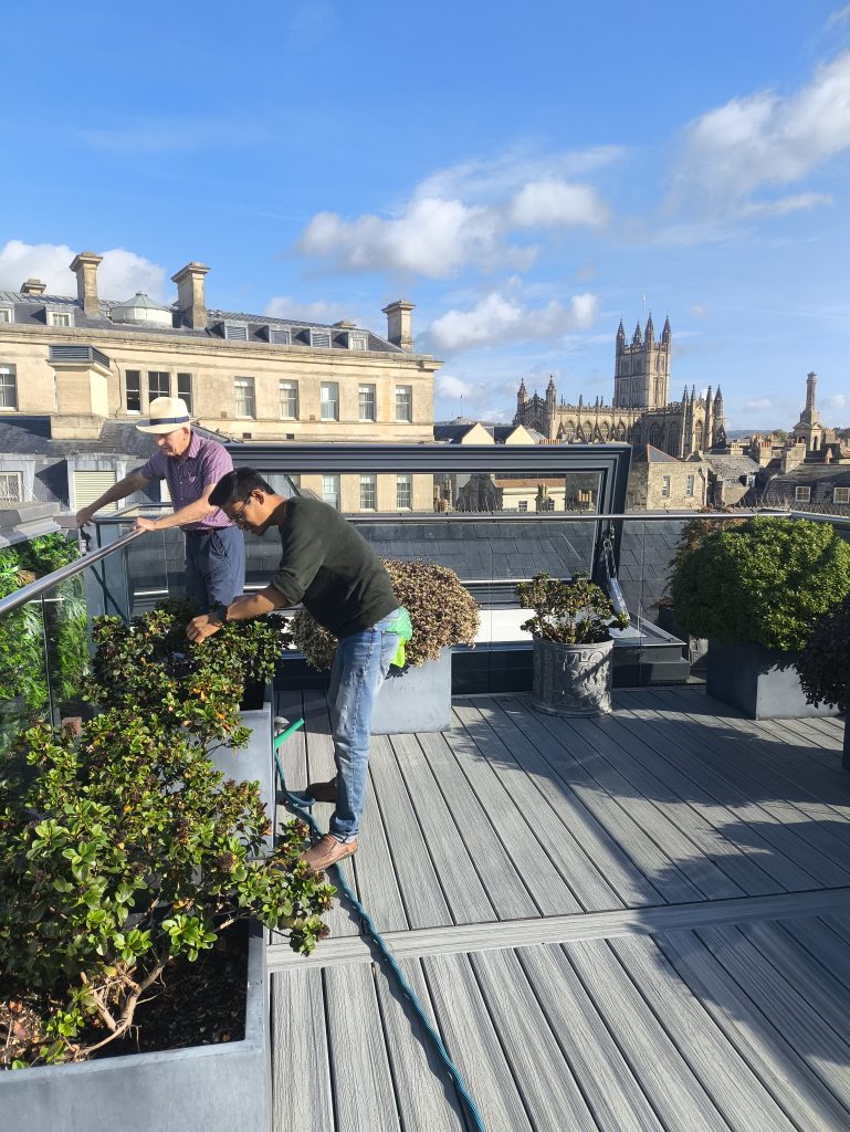 Rooftop pruning with a client